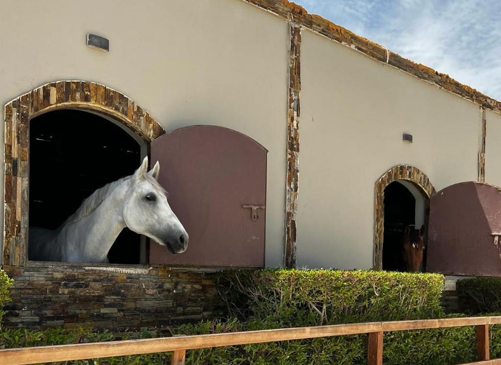 🐎ركوب الخيل